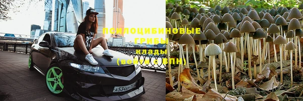 герыч Арсеньев